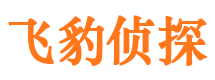 满城寻人公司